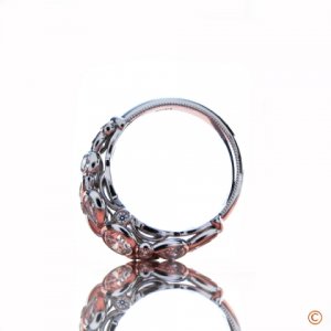 Ring profile 1b.jpg