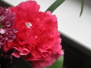 IMG_1740.JPG