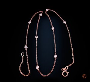 BrianGavin_RoseChain1b_042810.jpg