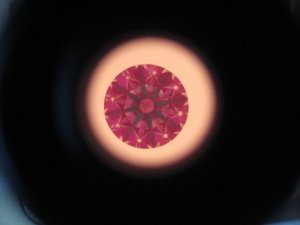 AFP331-1 idealscope.jpg