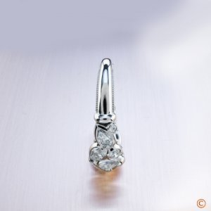 Ring side and shank 1b.jpg