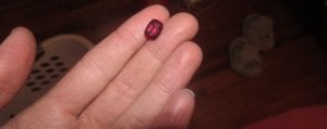 rhodolite1.jpg