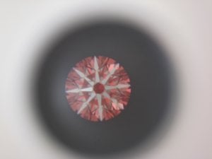 IMG_7899.jpg