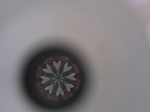IMG_7900.jpg