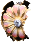 xidni-sunflwr-cropped.jpg
