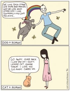 dogs-vs-cats-20101129-101518.jpg