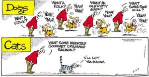 dogs-v-cats.jpg