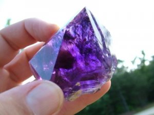DSCF5728.jpg