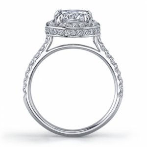 ring.jpg