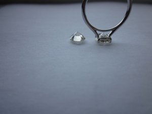 IMG_0557.jpg