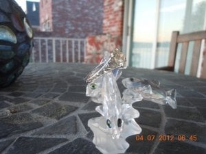 DSCN2396.JPG