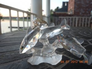 DSCN2397.JPG