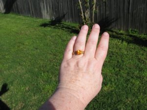 IMG_4114.JPG