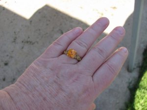 IMG_4115.JPG