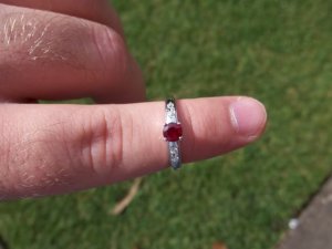100_0171.JPG