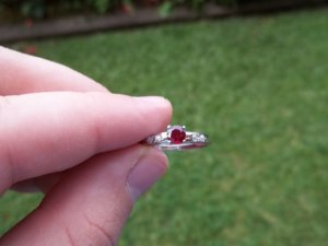 100_0173.JPG