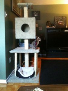 IMG_0889.jpg