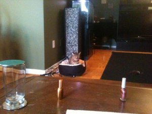 IMG_0773.jpg