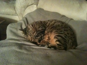 IMG_1171.jpg