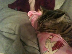 IMG_1201.jpg