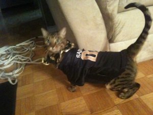 IMG_1220.jpg