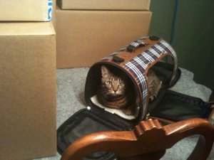 IMG_1313.jpg