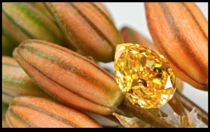 pear 0.33 ct.png