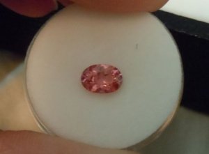 pad spinel.JPG