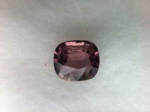IMG_0689.jpg