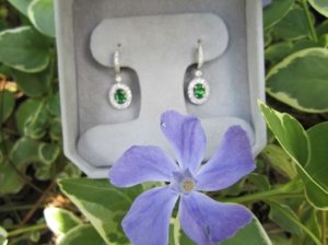 cmstsavoriteearrings2.jpg