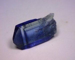 390633016_o[1].jpg