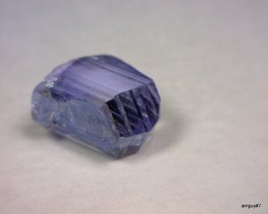 368837321_o[1].jpg