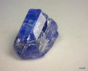 383417444_o[1].jpg