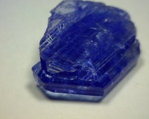 392520992_o[1].jpg