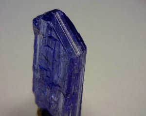 392520986_o[1].jpg