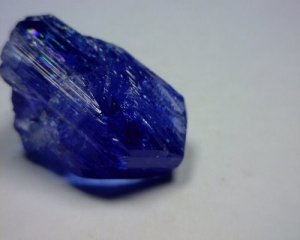 392521962_o[1].jpg