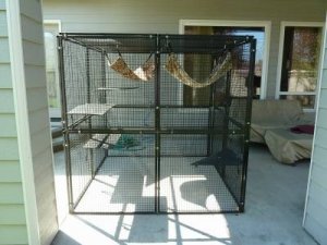 cage.jpg