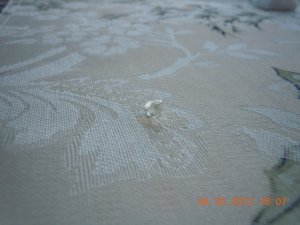 DSCN2455.JPG