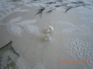 DSCN2460.JPG
