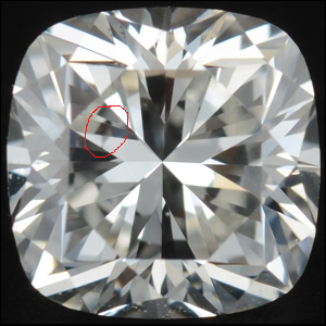 cushion.png