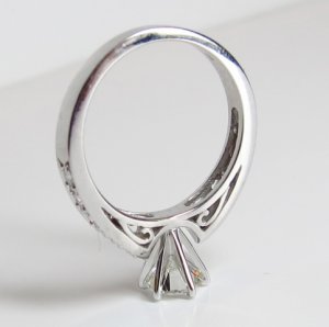 E-Ring1.JPG E-Ring1.JPG