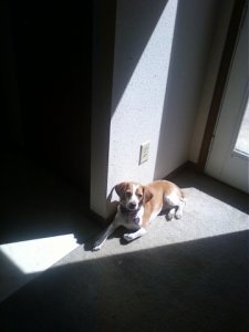 daisymae5birthday.jpg