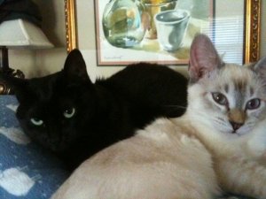 sisters.jpg