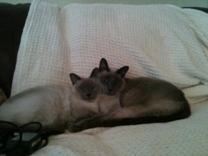 IMG_0109.JPG