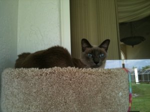 IMG_0103.JPG