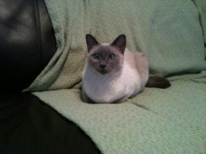 IMG_0029.JPG