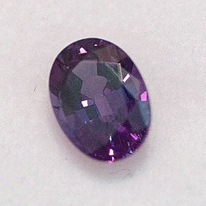 pancolourchangegarnet1c.jpg