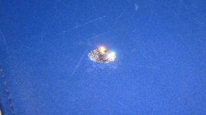 IMG_1139.JPG
