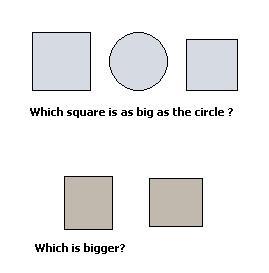 seesize.JPG