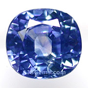 SAP-00531-l.jpg